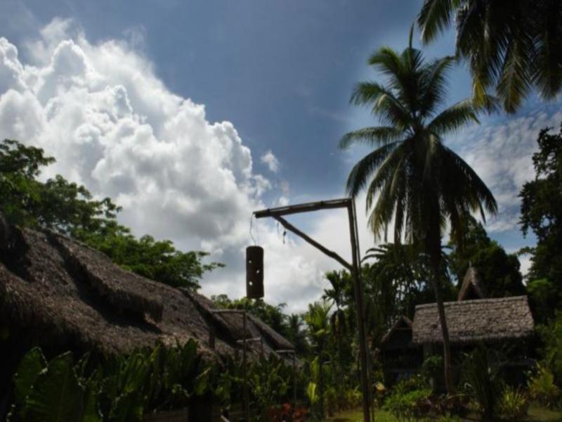 Wild Orchid Resort - Havelock Island Vijay Nagar Beach Экстерьер фото