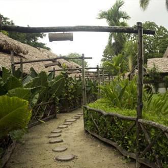 Wild Orchid Resort - Havelock Island Vijay Nagar Beach Экстерьер фото